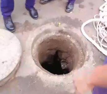 2 sweeper died During cleaning of underground drains Rajkot: ભૂગર્ભ ગટરમાં સફાઈ કરવા ઉતરેલા બે કામદારોના મોત, ઝેરી ગેસની અસર થતા બની ઘટના