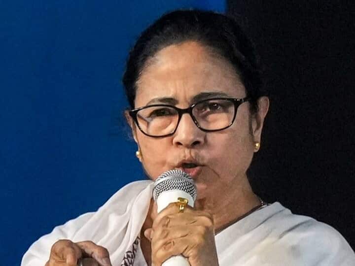 Mamata Banerjee to stage sit in demonstration in Kolkata from March 29 to protest against BJP led Narendra Modi Govt TMC Protest: ममता बनर्जी का केंद्र के खिलाफ मोर्चा, कोलकाता में देंगी दो दिवसीय धरना, दिल्ली में सांसदों ने किया प्रदर्शन
