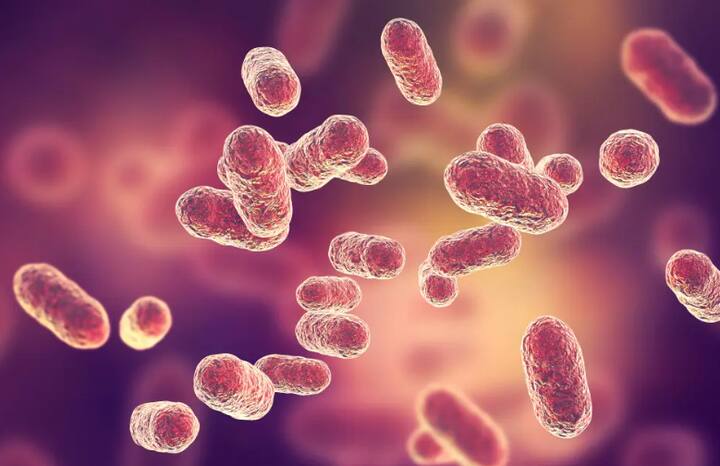 हा मांस खाणारा जिवाणू चिमुकल्याच्या दुखापतीतून त्याच्या शरीरात शिरला आणि त्याने मुलाच्या शरीराला आतून कुरतडण्यास सुरुवात केली. यानंतर काही दिवसांनंतर मुलाच्या मेंदूला सूज आली आणि नंतर त्याचा मृत्यू झाला.