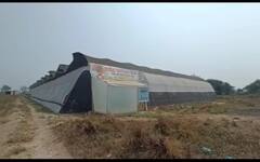 थायलंडहून रोपटे आणून ऑर्किड फुल शेतीतून नऊ लाखांचं उत्पन्न; पाहा फोटो