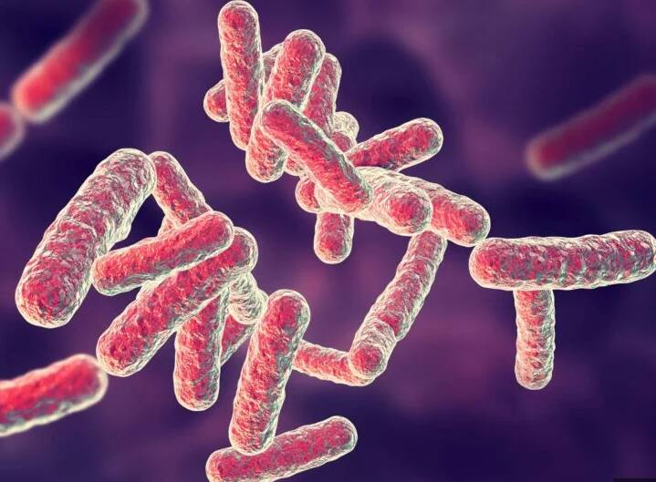 मांस खाणारा बॅक्टेरिया याला नेक्रोटाइझिंग फॅसिटायटिस (Necrotizing Fasciitis) या नावानं ओळखलं जातं. हा बॅक्टेरिया त्वचेचा दुर्मिळ संसर्ग आहे.