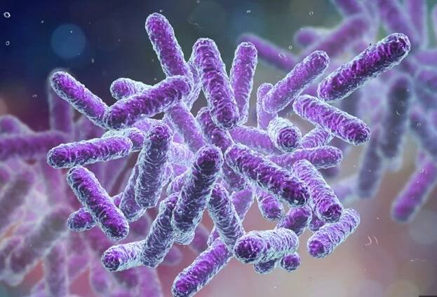 या प्रकरणात अधिक तपासणी केल्यावर आढळून आलं की, मुलाला मांस खाणाऱ्या बॅक्टेरियाचा संसर्ग झाला.