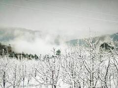 Himachal Pradesh: हिमाचल में बारिश और बर्फबारी से और बढ़ी ठंड, जन जीवन अस्त-व्यस्त, तस्वीरों में देखें हालात