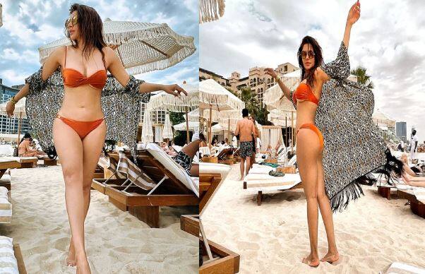 ટીવી એક્ટ્રેસ શમા સિકંદર હંમેશા પોતાના બિકીની લુકને લઈને સોશિયલ મીડિયા પર તાપમાન વધારે છે. જ્યારે પણ અભિનેત્રી ઈન્સ્ટાગ્રામ પર તેની તસવીરો અપલોડ કરે છે, ત્યારે તે ફેન્સમાં વાયરલ થવા લાગે છે.