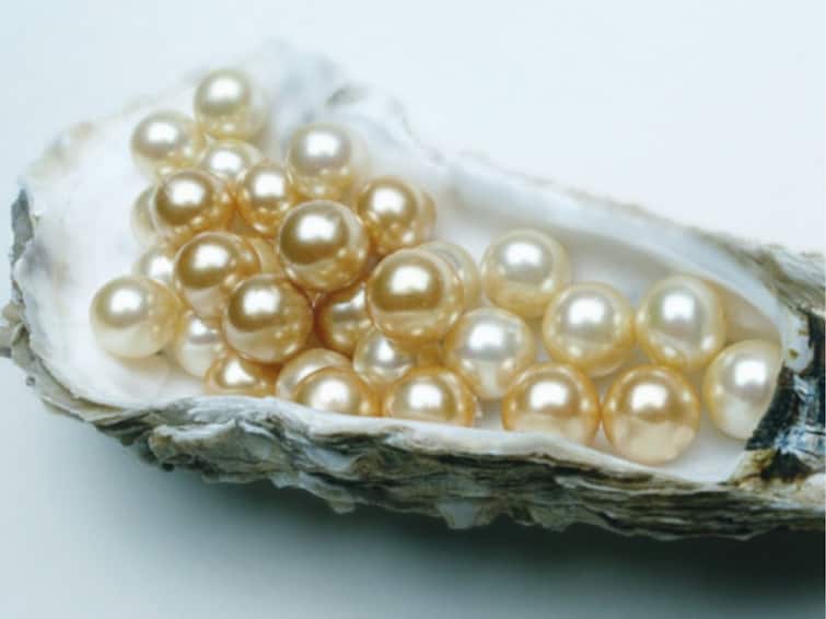 Oldest Pearl Town Found On A UAE Island, Artefacts Found Date Back To Late 6th Century: Report