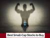 Small Cap Favourites: బీమా కంపెనీల ఇష్టసఖులు ఈ స్మాల్‌ క్యాప్‌ స్టాక్స్‌, తెగ కొంటున్నాయ్‌!