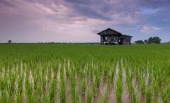 Science News: অনাহারে নয়, দিব্যি খেয়েপরে থাকতে পারেন মানুষ, মঙ্গলের মাটিতেও হতে পারে চাষবাস!