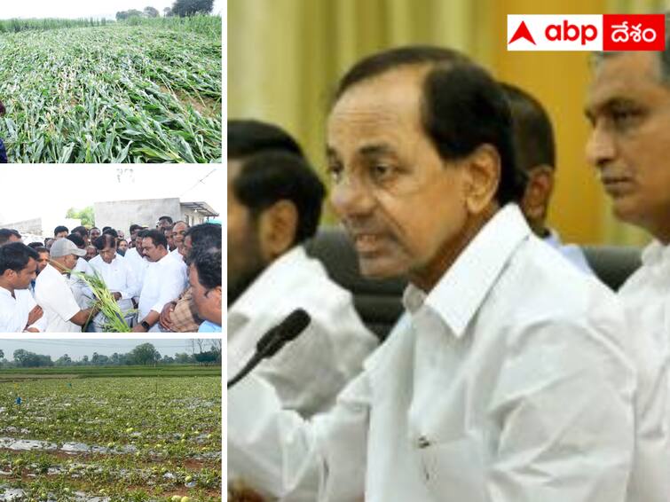 KCR will announce compensation for the farmers who were damaged due to untimely rains. KCR Karimnagar Tour :  అకాల వర్ష బాధిత రైతులకు భారీ సాయం - గురువారం కరీంనగర్‌లో కేసీఆర్ ప్రకటించే అవకాశం !