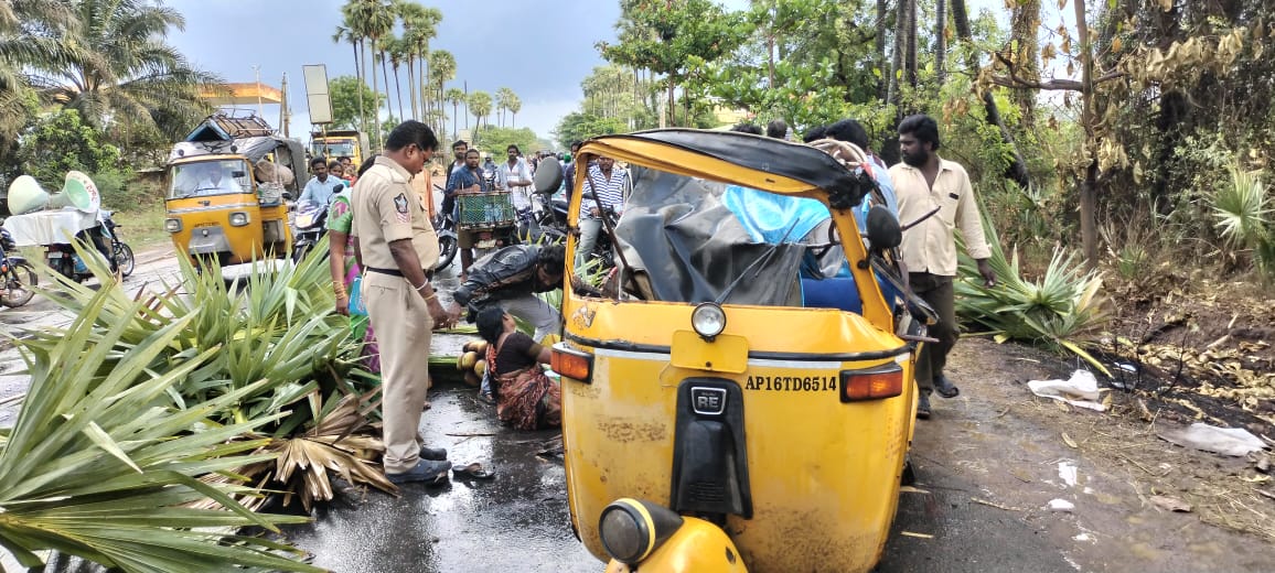 Eluru Crime: పండుగపూటే విషాదం - ఆటోపై విరిగిపడిన తాటిచెట్టు, రెండేళ్ల పాప దుర్మరణం