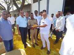 सांगलीत पाडव्याच्या मुहूर्तावर हळदीच्या सौद्यांचा शुभारंभ; मिळाला उच्चांकी दर