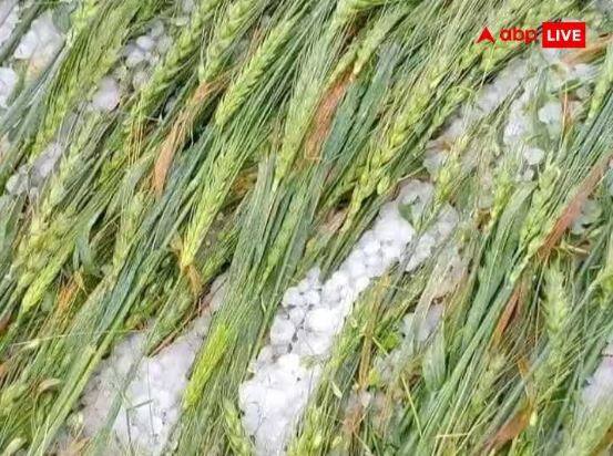 crop damage due to unseasonal rain likely to push inflation vegetables fruits may go up rabi crop production might be affected Inflation Rate: ਬੇਮੌਸਮੀ ਬਾਰਿਸ਼ ਨੇ ਵਧਾਈ ਮੁਸ਼ਕਿਲ, ਕਣਕ-ਆਟੇ ਦੀ ਮਹਿੰਗਾਈ ਤੋਂ ਕਿਵੇਂ ਮਿਲੇਗੀ ਰਾਹਤ?