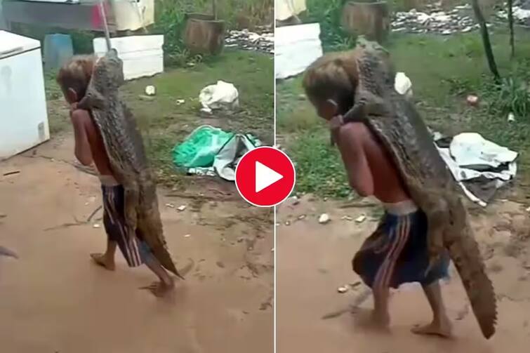 Boy Carries Crocodile On His Back, Netizens Say It’s Real Friendship: Watch Viral Video Video: પીઠ પર મગરને લઈને ફરી રહ્યો છે નાનો છોકરો, ક્યારેય જોઇ છે આવી ભયંકર મિત્રતા, જુઓ વીડિયો