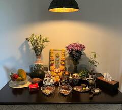 Mohit Sehgal-Sanaya Irani Pics: इस टीवी कपल ने बिल्ली के साथ मनाया परसी नया साल, हाथ जुड़वाकर की पूजा