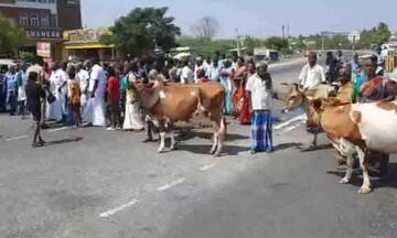 திருச்சி அருகே கறவை மாடுகளுடன்  பால் உற்பத்தியாளர்கள் மறியல் போராட்டம்