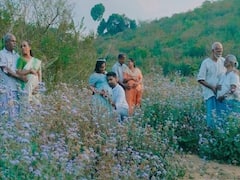 తల్లులు కాబోతున్న 3 తరాల మహిళలు! తల్లి, అమ్మమ్మ, అత్త, కోడళ్లకు ఒకేసారి గర్భం