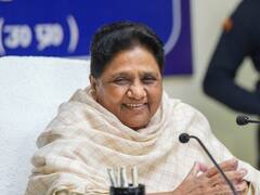 मायावती के भतीजे आकाश आनंद की शादी में इन नेताओं को न्योता नहीं, जानें- कौन होंगे शामिल