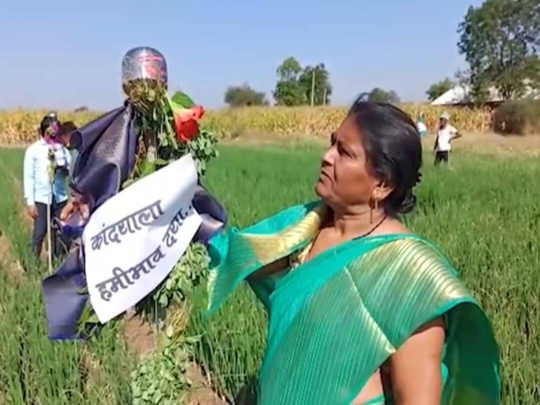 maharashtra nashik news farmer from Yevala in Nashik district set up Gudhi in onion farm Nashik Gudhipadawa : गुढीला कांद्याची माळ, द्राक्ष, मिरच्यांच्या माळा, नाशिकमध्ये शेतकऱ्याने शेतातच उभारली गुढी