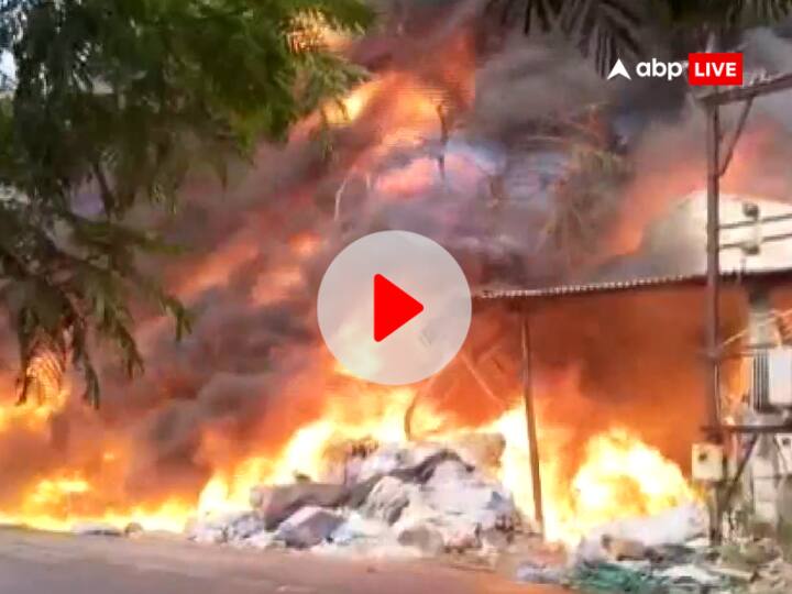 massive fire broke out in packaging company in Gujarat Bharuch more than 5 fire tenders were present on spot Watch: गुजरात के भरूच में एक पैकेजिंग कंपनी में लगी भीषण आग, मौके पर दमकल की 5 से ज्यादा गाड़ियां मौजूद