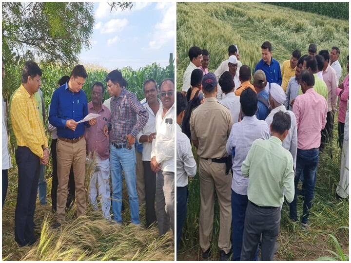 यावेळी कन्नड तालुक्यातील पिशोर, पळशी, रामनगर, साखरवेल परिसरातील तुकाराम हुनमंत निर्मळ, सर्जेराव गिरजाबा नलावडे, श्रीमती कमलबाई कैलास गायकवाड, नारायन बंडु डहाके, आदि शेतकऱ्यांच्या नुकसानग्रस्त शेतींची जिल्हाधिकारी आस्तिक कुमार पाण्डेय यांनी पाहणी केली.