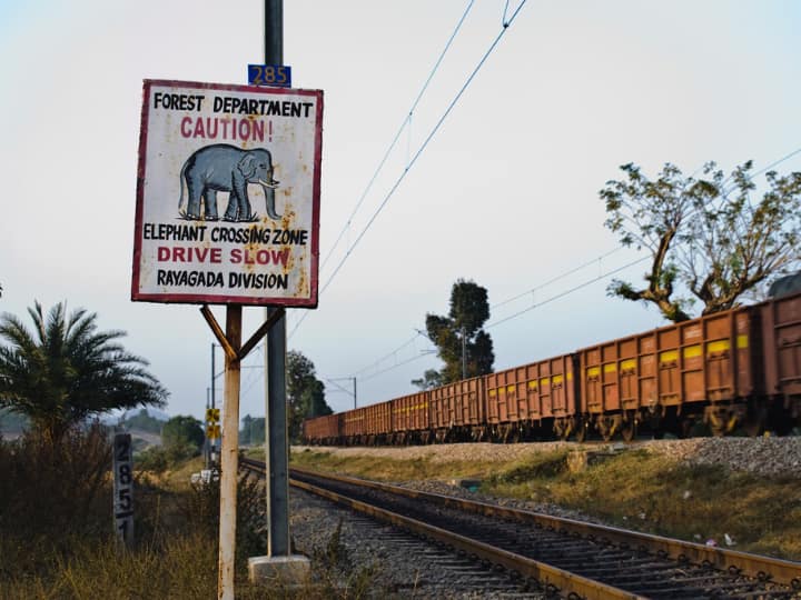 Artificial intelligence will help prevent elephant and train accident this is how IDS technology will work अब AI रोकेगा ट्रेन और हाथी का एक्सीडेंट, जानें कैसे काम करेगी ये तकनीक