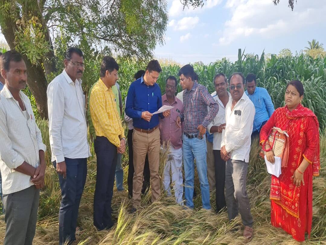 maharashtra News Chhatrapati Sambhaji Nagar The instructions of the Divisional Commissioner and the Collector reached the field Unseasonal Rain : विभागीय आयुक्तांचे निर्देश अन् जिल्हाधिकारी पोहचले बांधावर; नुकसानीची केली पाहणी