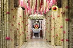 Gudi Padwa:  गुढी पाडव्यानिमीत्त विठू-रखूमाई मंदिर सजले,  पाहा विठुरायाचं लोभसवाणं रुप