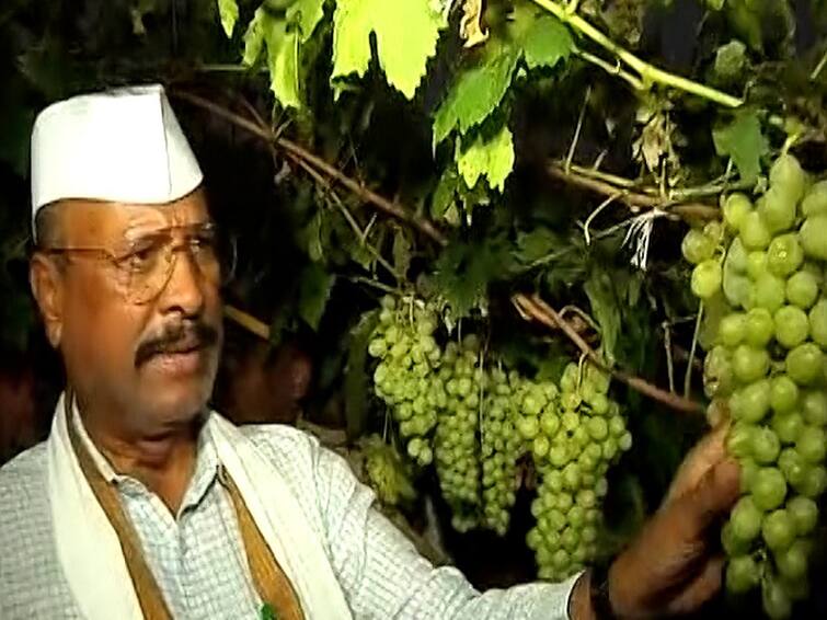 Nashik News Abdul Sattar inspected Nashik farmers damaged crops in night making farmers unhappy Maharashtra कृषीमंत्री अब्दुल सत्तारांकडून अंधारातच नुकसानग्रस्त भागाची पाहाणी; शेतकऱ्यांची तीव्र नाराजी
