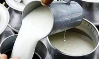 மதுரையில் பால் டெப்போக்களுக்கு ஆவின் பால் விநியோகம் தாமதம்; வாகனங்களை திருப்பி அனுப்பிய டெப்போ முகவர்கள்