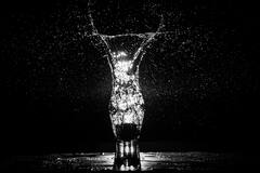 World Water Day 2023: দৈনন্দিন জীবনের ছোট ছোট কাজেই হয় জলের অপচয়, সতর্ক থাকতে কী কী পদক্ষেপ নেবেন?