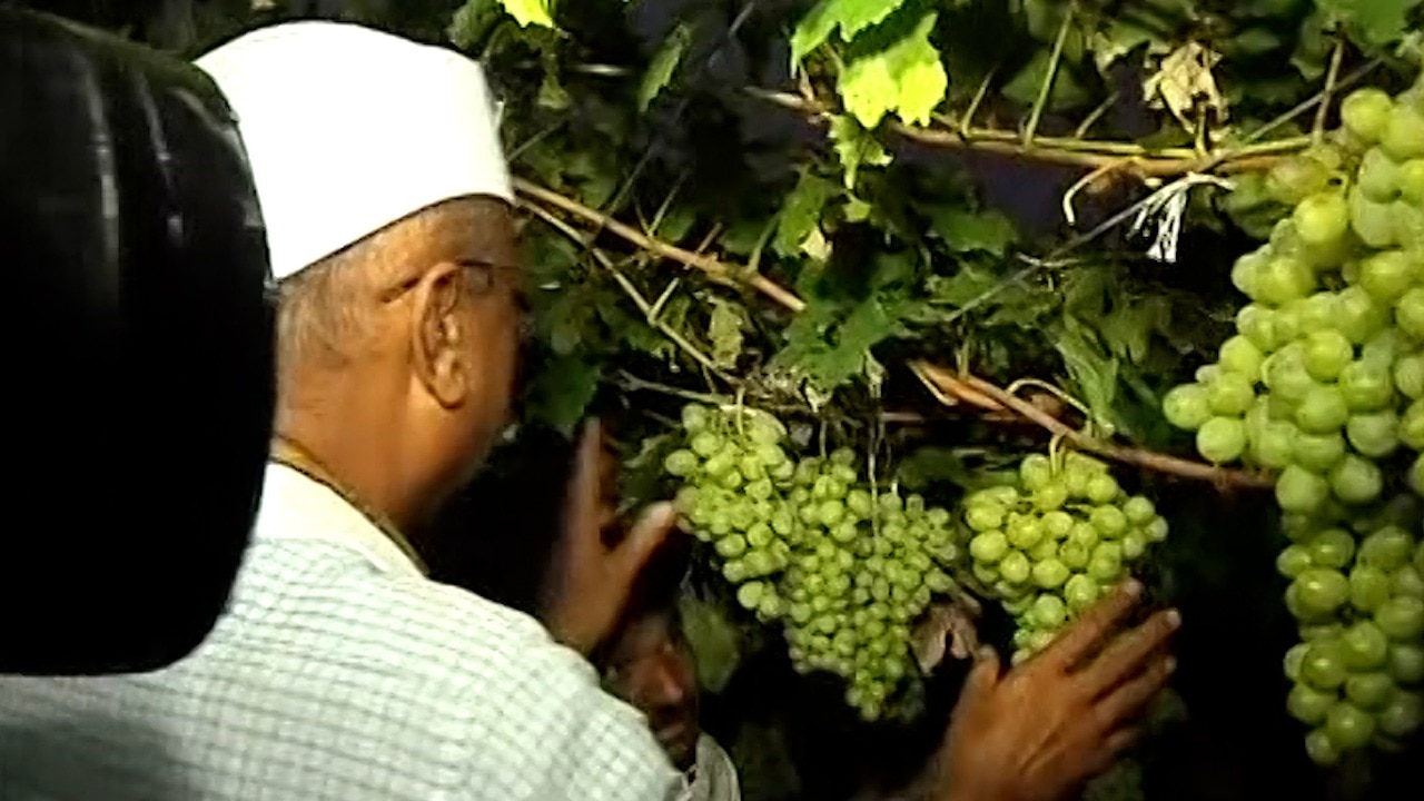 कृषीमंत्री अब्दुल सत्तारांकडून अंधारातच नुकसानग्रस्त भागाची पाहाणी; शेतकऱ्यांची तीव्र नाराजी