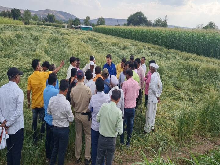 अवकाळी पावसामुळे कन्नड तालुक्यातील शेतपिकांचे मोठ्या प्रमाणावर नुकसान झाले आहे. मंगळवारी जिल्हाधिकारी आस्तिककुमार पाण्डेय यांनी कन्नड तालुक्यातील शेतपिकांचे झालेल्या नुकसानीची पाहणी करून आढावा घेतला आहे.