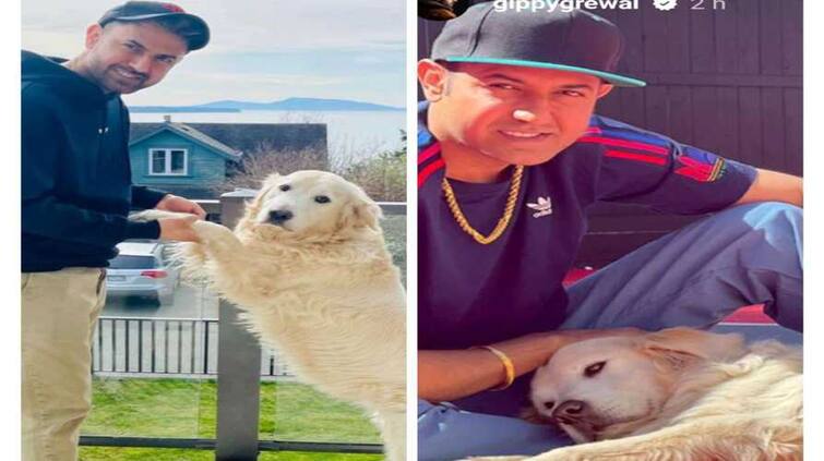 punjabi singer actor gippy grewal pet dog jacky dies artist shares emotional post on social media Gippy Grewal: ਗਿੱਪੀ ਗਰੇਵਾਲ ਦੇ ਪਾਲਤੂ ਕੁੱਤੇ ਜੈਕੀ ਦਾ ਹੋਇਆ ਦੇਹਾਂਤ, ਗਾਇਕ ਨੇ ਤਸਵੀਰਾਂ ਕੀਤੀਆਂ ਸ਼ੇਅਰ