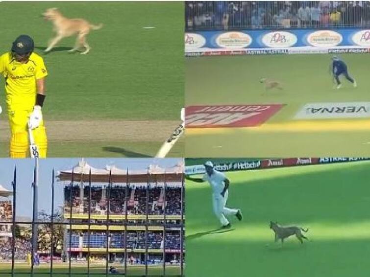 IND vs AUS 3rd ODI Stray Dog Entered Ground Chidambaram Stadium Chennai Play Was Halted- Watch Video Watch Video: யாரு மேன் நீங்க எல்லாம்? எங்க ஏரியாவுல என்ன செய்யறீங்க? டிக்கெட் இல்லாமல் மைதானத்துக்குள் உலா வந்த குறும்புக்கார நாய்