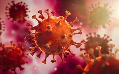 Immunity Boosting Tips: કોરોના અને એન્ફ્લુ એન્ઝાથી બચવા માટે આ ઇમ્યુનિટિ બૂસ્ટર ફૂડને ડાયટમાં સામેલ કરો,