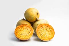 Wood apple : கோடை வெயிலின் தாக்கத்தை சமாளிக்க இருக்கவே இருக்கு விளாம்பழம்!