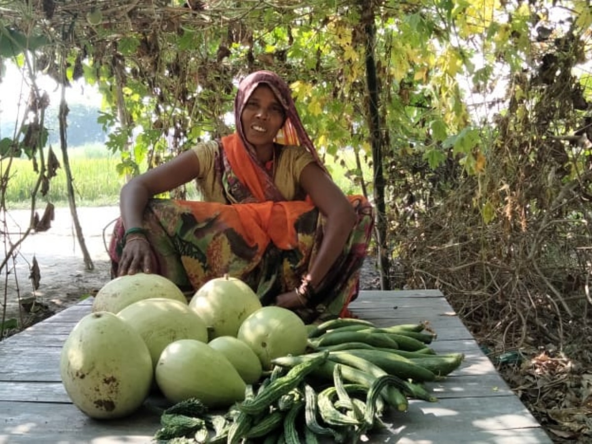 Savitri with her kitchen garden yield in Puarikhurd village, UP | Photo Courtesy: Amit (DNN)