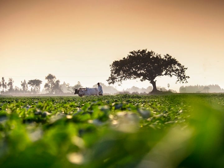 Rajasthna Government Offer subsidy for Organic Farming under Paramparagat Krishi Vikas Yojana Paramparagat Krishi Vikas Yojana: जैविक खेती के लिए किन-किन चीजों पर अनुदान देती है सरकार, यहां पढ़ें डिटेल्स