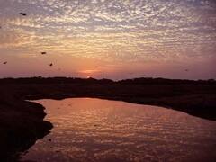 'असा' साजरा करतात 'जागतिक हवामान दिन'; जाणून घ्या इतिहास आणि महत्त्व