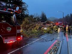 PHOTOS: अमेरिका में चक्रवाती तूफान का कहर, कई शहर हुए जलमग्न, सड़कें धंसीं, बिजली गुल, देखें कैसे हुई बर्बादी