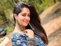 एक्टिंग से पहले क्या काम करती थीं Dipika Kakar? आज TV से दूर इसके जरिए कमाती हैं खूब पैसे