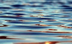 Water Crisis: বিশুদ্ধ পানীয় জল থেকে বঞ্চিত ২০০ কোটি, দু’দশকে বিশ্ব জুড়ে জলসঙ্কট! রাষ্ট্রপুঞ্জের রিপোর্ট ঘিরে উদ্বেগ