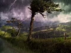 ਹਵਾ ਦੀ ਰਫ਼ਤਾਰ ਨਾਲ ਦਰੱਖਤ ਟੁੱਟਣ ਲੱਗ ਪੈਂਦੇ ਹਨ? ਜੇਕਰ ਇਸ ਗਤੀ ਦੀ ਚੇਤਾਵਨੀ ਹੈ, ਤਾਂ ਘਰ ਤੋਂ ਬਾਹਰ ਨਾ ਨਿਕਲੋ