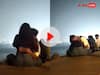 Video: समुद्र किनारे बैठे कपल पर चढ़ा रोमांस का रंग, मुंबई की मरीन ड्राइव पर किस करने का वीडियो वायरल
