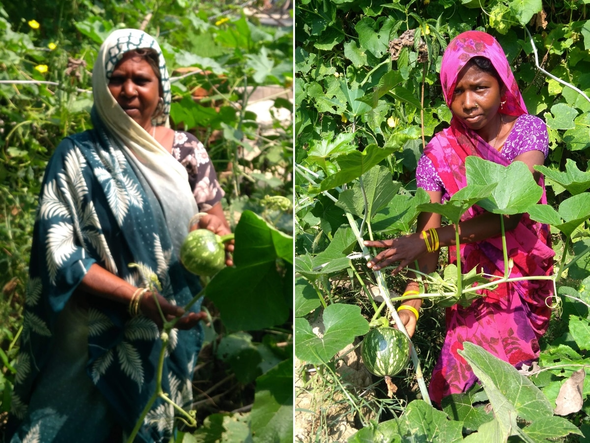Two women show off their kitchen garden produce at the Musahar settlement in Barhikala, UP | Photo: Amit (DNN)