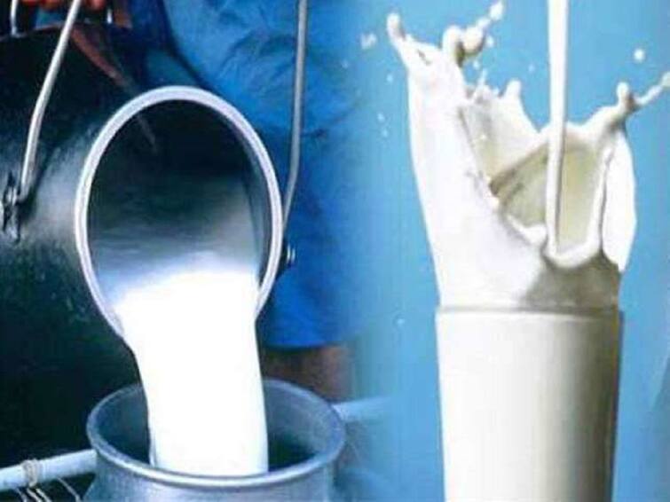 Regular certification of milk meters is mandatory for milk companies Decision of State Govt maharashtra Kisan sabha Ajit nawale Kisan Sabha : मिल्कोमीटरचे नियमित प्रमाणीकरण दूध कंपन्यांना बंधनकारक, किसान सभेच्या पाठपुराव्याला यश  
