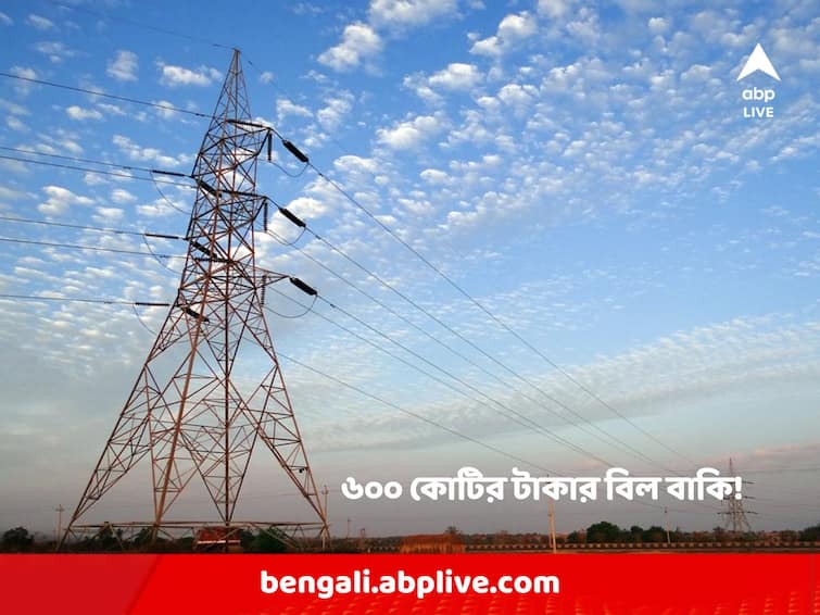 The amount of panchayet electric bills is around 600 crores, guidelines for paying electricity bills of panchayats from development money Panchayet Electric Bill: বকেয়া বিলের অঙ্ক প্রায় ৬০০ কোটি, উন্নয়নের টাকা থেকে পঞ্চায়েতের বিদ্যুত বিল মেটানোর নির্দেশিকা