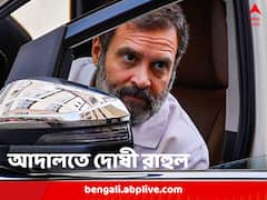 মানহানি মামলায় দু’বছরের সাজা! বিশেষজ্ঞরা বলছেন, ‘বিরল ঘটনা’, কী অপেক্ষা করছে রাহুলের জন্য!