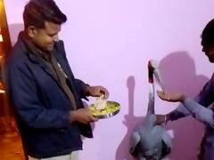 सियासी बयानबाजी के बीच वन विभाग को मिल गया सारस पक्षी, अब लगातार हो रही है मॉनिटरिंग