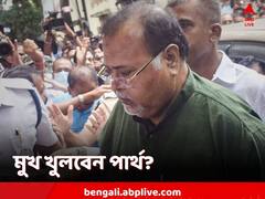 'ভেবেছিলাম, কিছুই বলব না...আবার বলা শুরু করলাম', কী বললেন পার্থ?