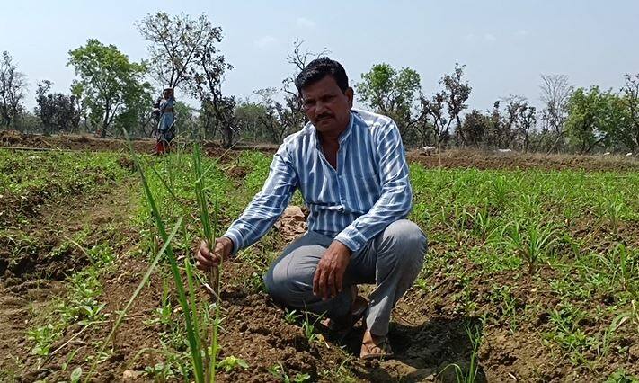 क एकरमध्ये त्यांना जवळपास एक लाख ते एक 20 हजार रुपयापर्यंत उत्पन्न होईल अशी आशा आहे.